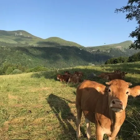 Mont-dore : T2 Avec Balcon Et Wifi - Fr-1-608-267 דירה *